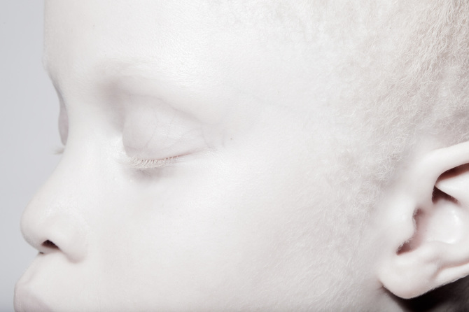 Vinicius Terranova Photography