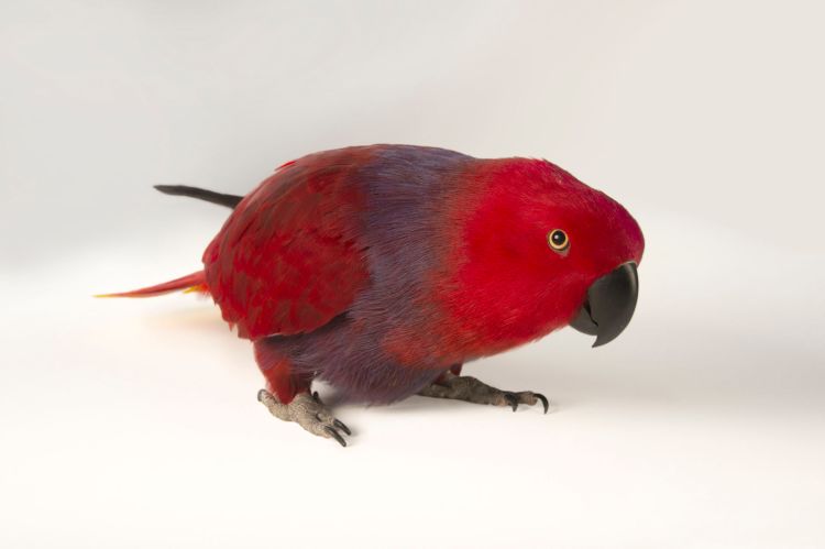 BIR037-00256-1920x1278