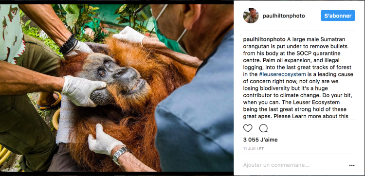 Screen Shot 2017-08-04 at 13.37.20