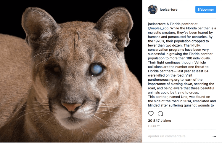 Screen Shot 2017-08-04 at 15.35.40